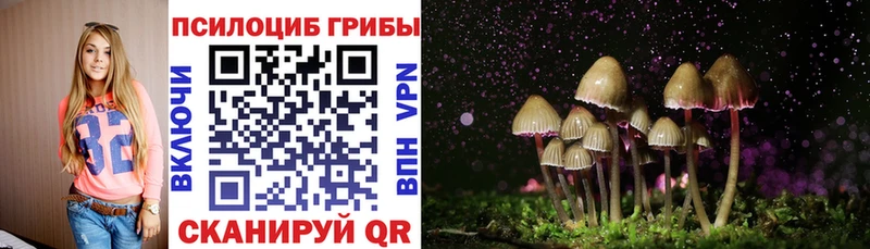 купить  цена  Новосиль  Псилоцибиновые грибы ЛСД 